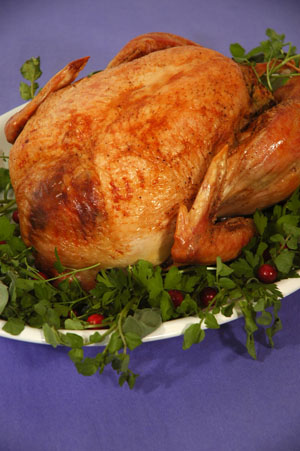 Roast Turkey 